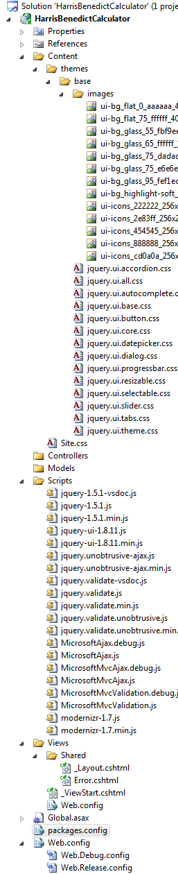 3 - What's in the empty ASP.NET MVC 3 project